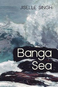 bokomslag Banga Sea