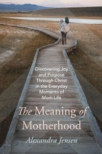 bokomslag Meaning of Motherhood