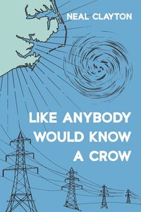 bokomslag Like Anybody Would Know a Crow