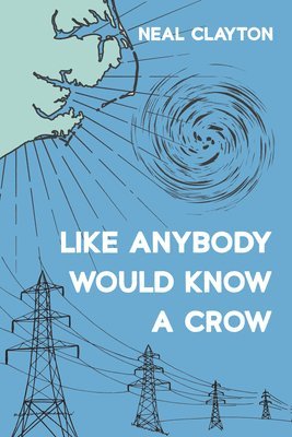 bokomslag Like Anybody Would Know a Crow
