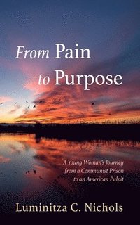 bokomslag From Pain to Purpose