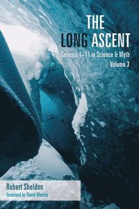 bokomslag The Long Ascent, Volume 3