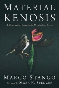 bokomslag Material Kenosis