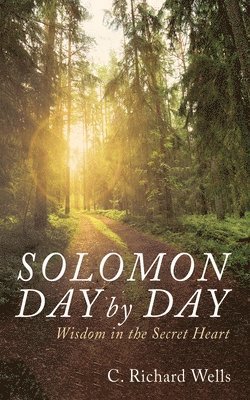 bokomslag Solomon Day by Day