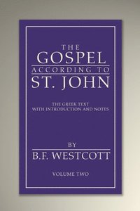 bokomslag The Gospel According to St. John, Volume 2