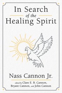 bokomslag In Search of the Healing Spirit