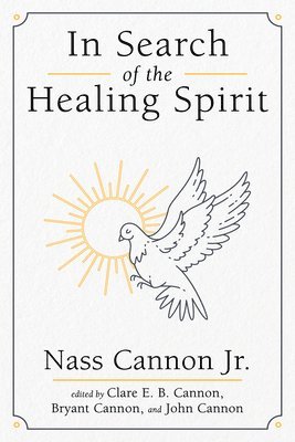bokomslag In Search of the Healing Spirit