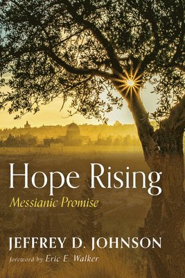 Jeffrey D Johnson, Jeffrey D. Johnson - Hope Rising, Inbunden