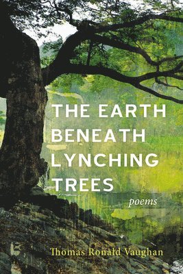 bokomslag The Earth Beneath Lynching Trees