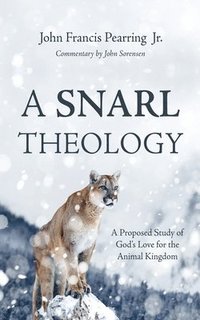 bokomslag Snarl Theology