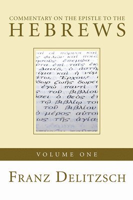 Commentary on the Epistle to the Hebrews, Volume 1 1
