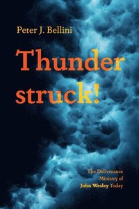 bokomslag Thunderstruck!