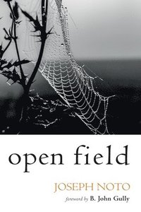 bokomslag Open Field