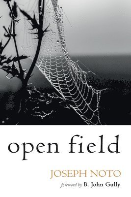 Open Field 1