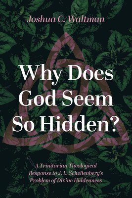 bokomslag Why Does God Seem So Hidden?