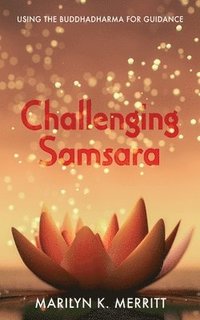 bokomslag Challenging Samsara