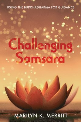 bokomslag Challenging Samsara