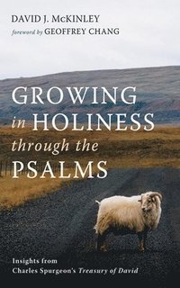 bokomslag Growing in Holiness Through the Psalms