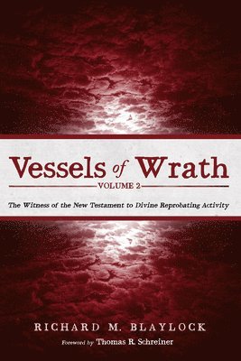 bokomslag Vessels of Wrath, Volume 2