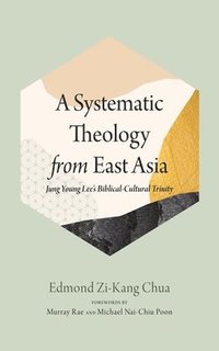 bokomslag Systematic Theology from East Asia