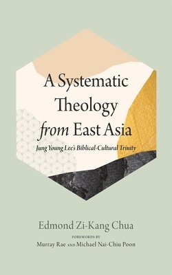bokomslag Systematic Theology from East Asia