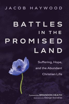 Battles in the Promised Land 1