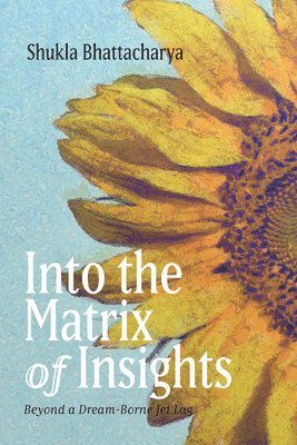 Into the Matrix of Insights 1