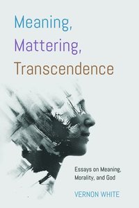 bokomslag Meaning, Mattering, Transcendence