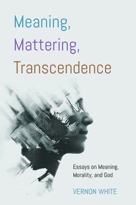 bokomslag Transcendence Meaning, Mattering