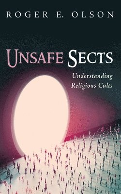 bokomslag Unsafe Sects