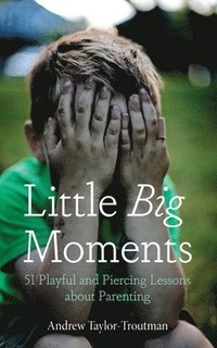 bokomslag Little Big Moments