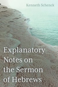 bokomslag Explanatory Notes on the Sermon of Hebrews