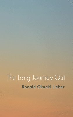 bokomslag Long Journey Out