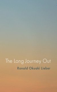 bokomslag Long Journey Out