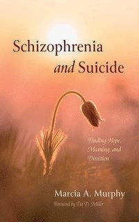 bokomslag Schizophrenia and Suicide