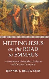 bokomslag Meeting Jesus on the Road to Emmaus