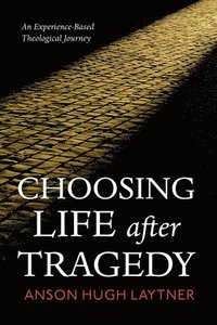 bokomslag Choosing Life after Tragedy