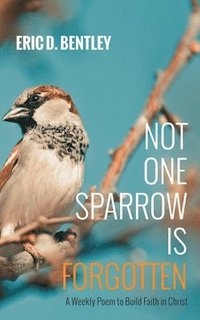 bokomslag Not One Sparrow Is Forgotten