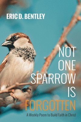 Eric D Bentley, Eric D. Bentley - Not One Sparrow Is Forgotten, Inbunden