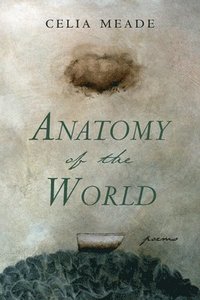bokomslag Anatomy of the World-DO NOT ACT (Pre-publication marketing)