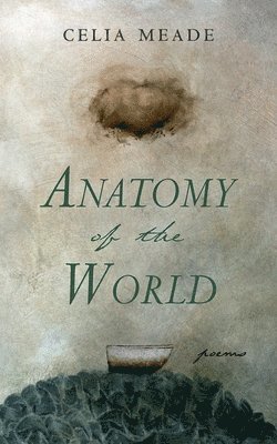 Anatomy of the World-DO NOT ACT (Pre-publication marketing) 1