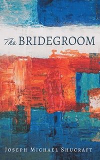bokomslag The Bridegroom