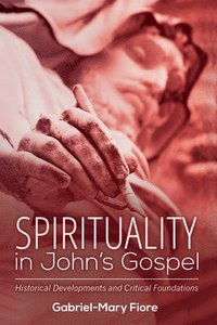 bokomslag Spirituality in John's Gospel