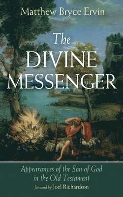 bokomslag Divine Messenger