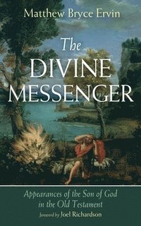 bokomslag Divine Messenger