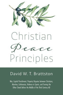 bokomslag Christian Peace Principles