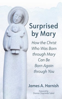 bokomslag Surprised by Mary