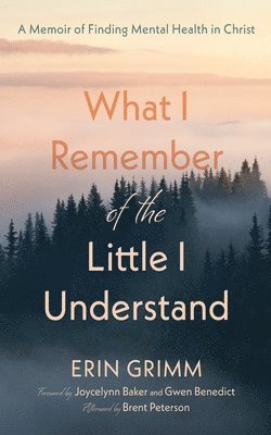 bokomslag What I Remember of the Little I Understand