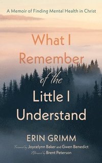 bokomslag What I Remember of the Little I Understand