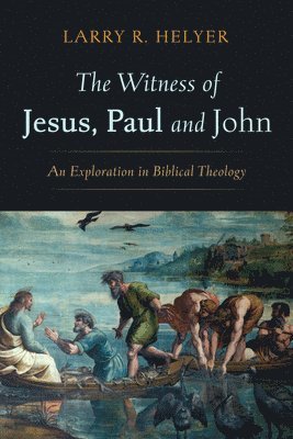 bokomslag Witness of Jesus, Paul and John